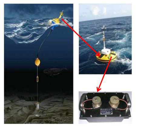 Data Buoy CPU in its environment